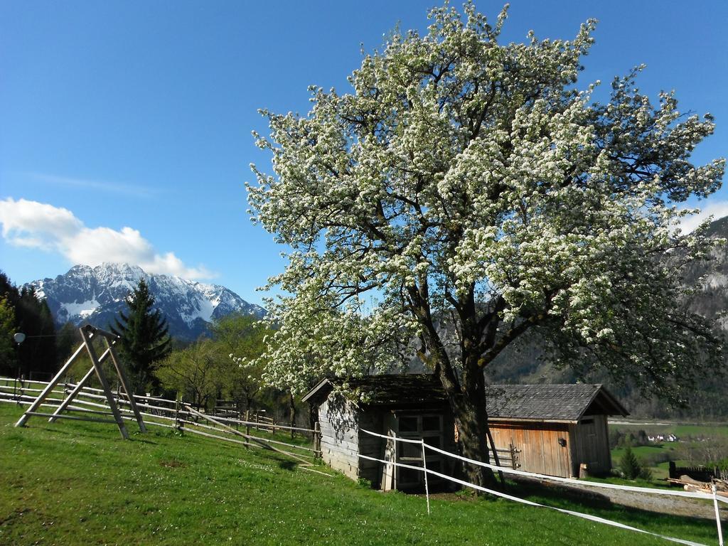 Berghof Thurnergut Spital Am Pyhrn Bagian luar foto
